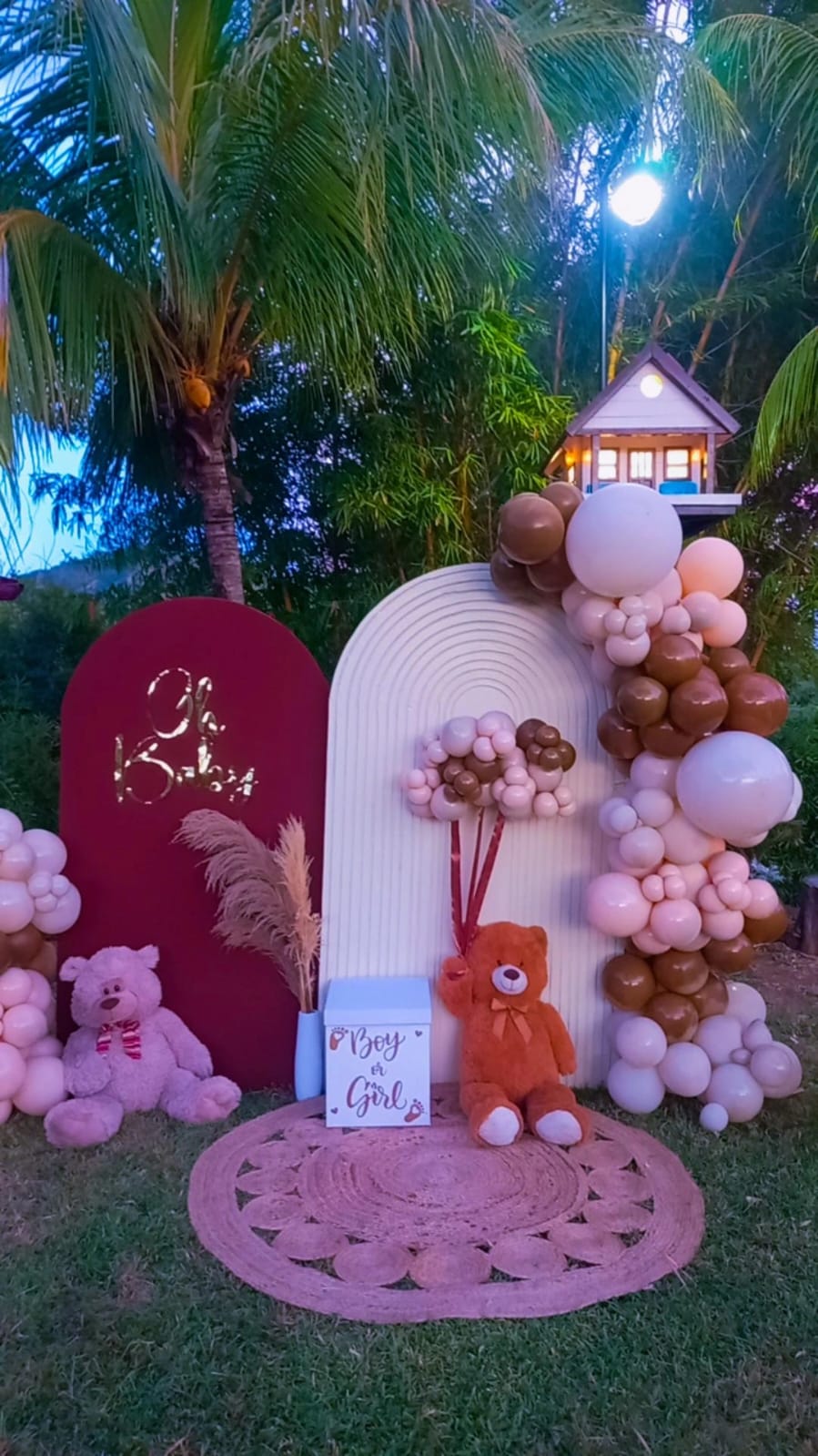 Revelación de Género